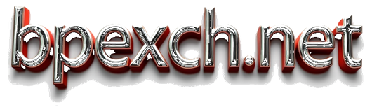 bpexch.net logo